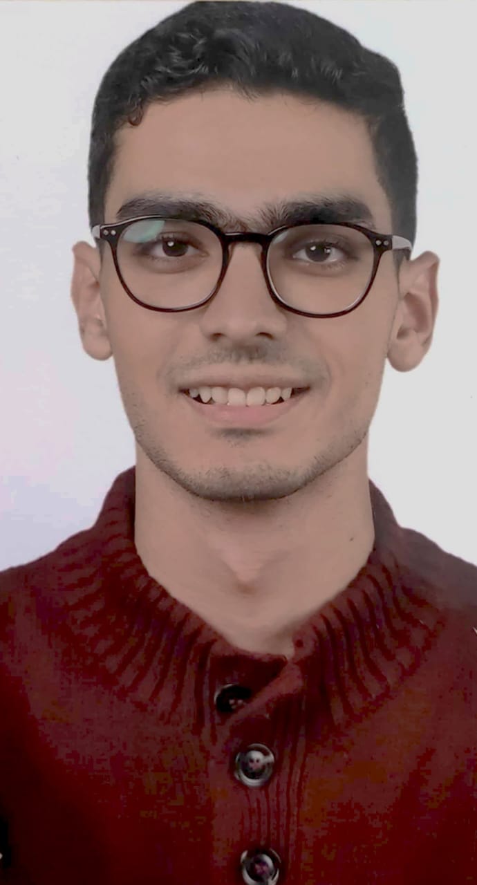 Mohammed Emad Eldin Mohammad Abd elaal